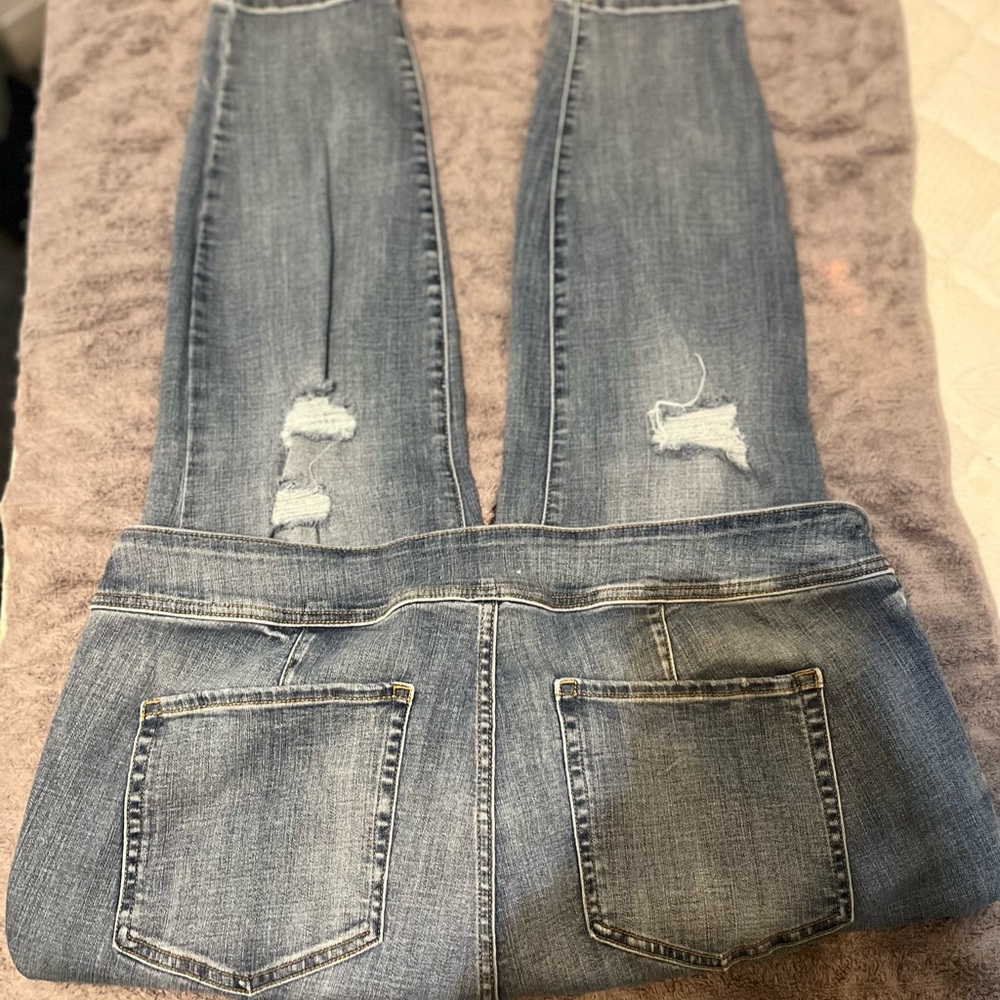 Lane Bryant Distressed Skinny Jeans